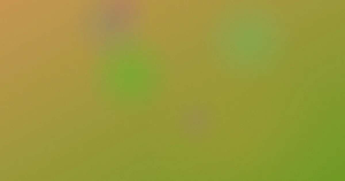 手心里的温柔歌词是什么